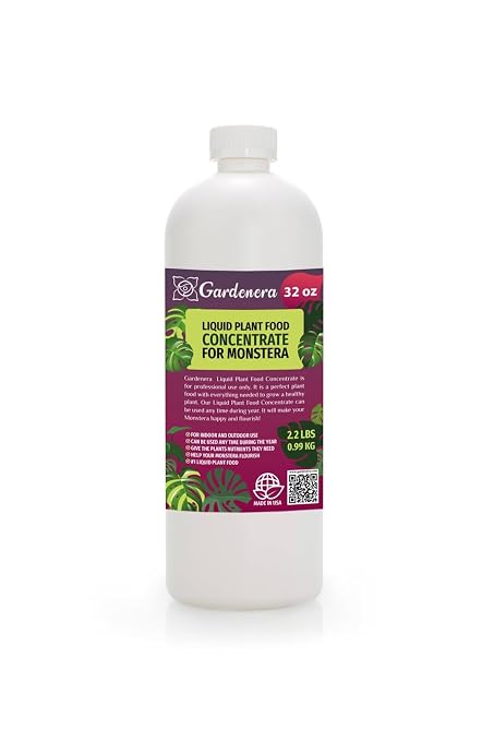 MONSTERA