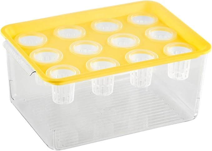 Yellow Lid