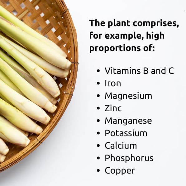 lemongrass