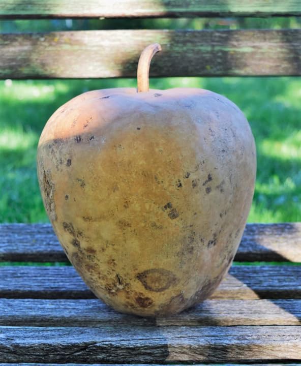__DEFAULT__