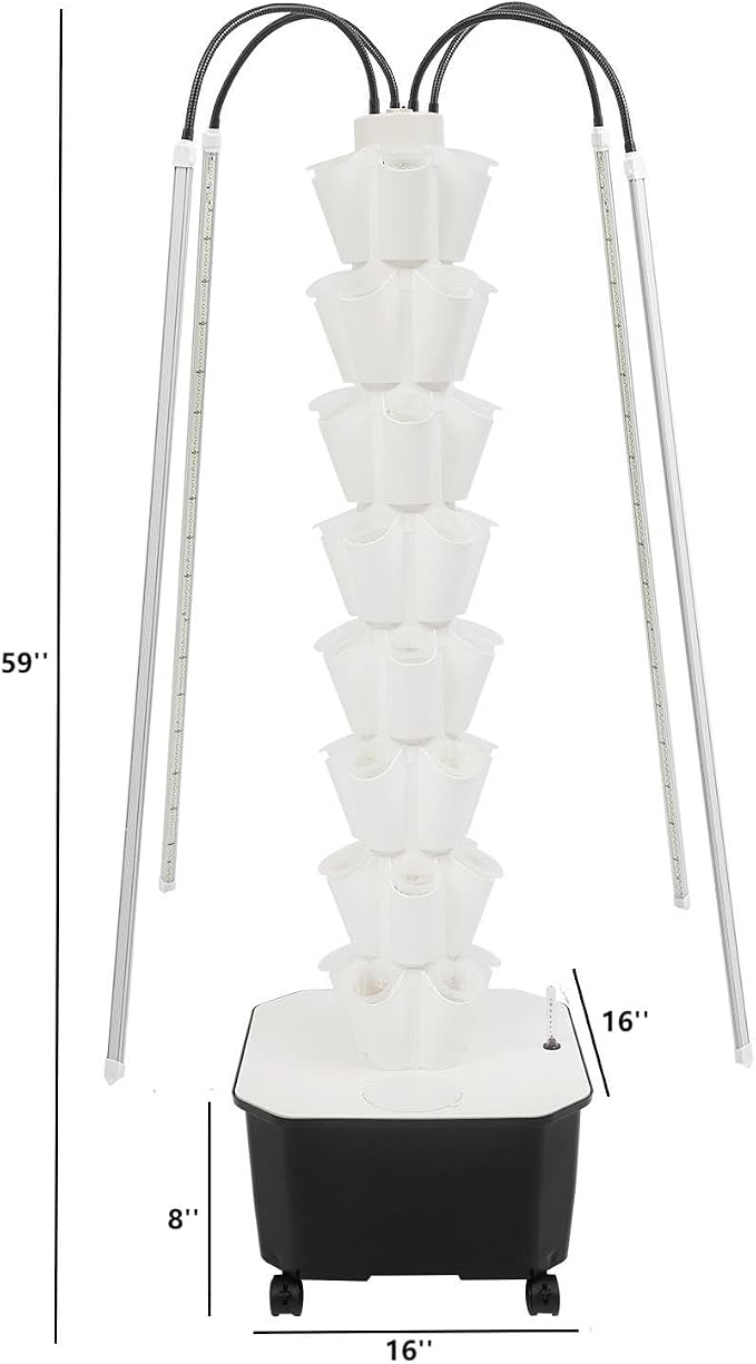 White, 40 Holes