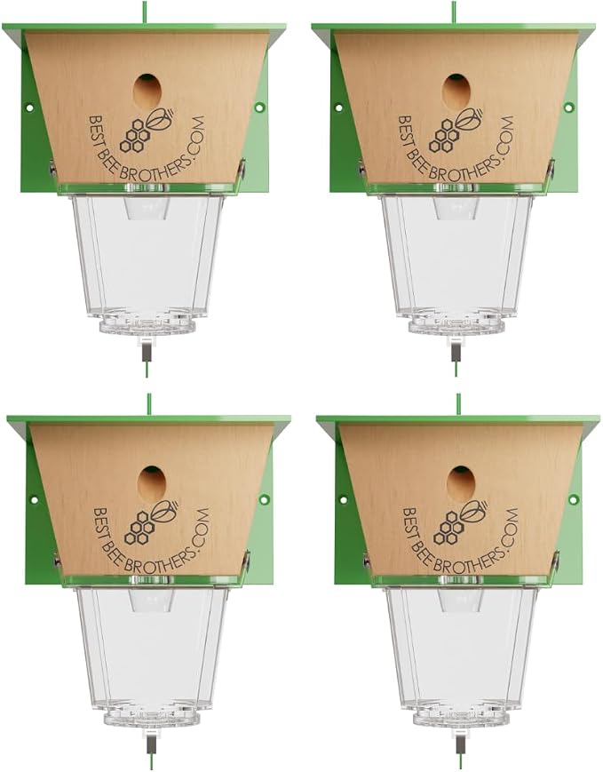 4 Pack Green