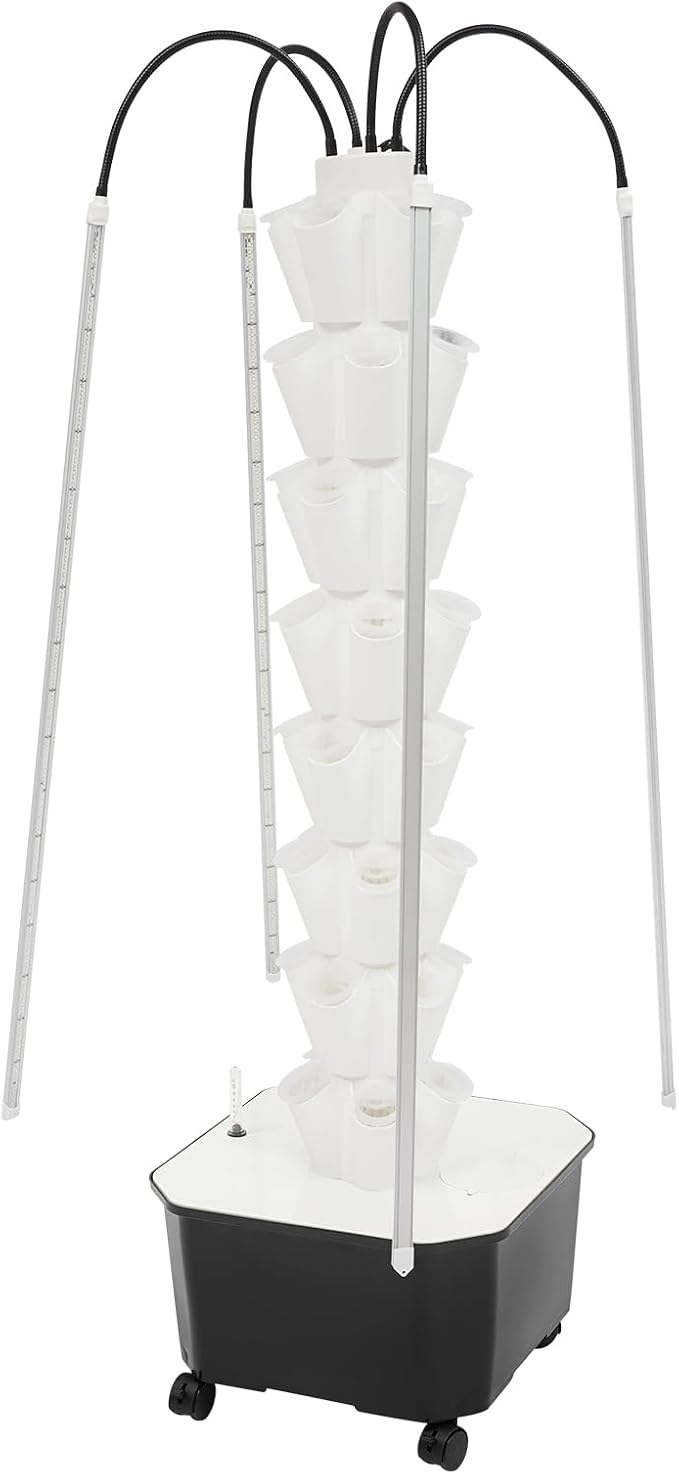 White, 40 Holes
