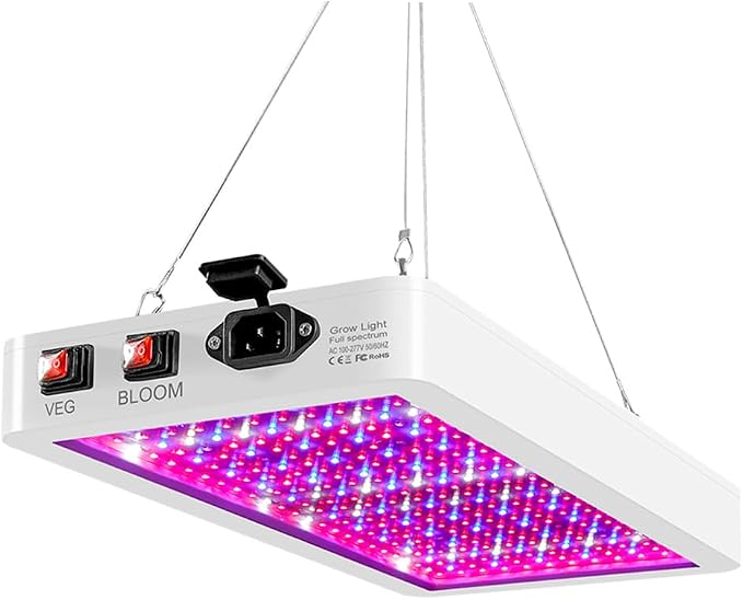 5000w