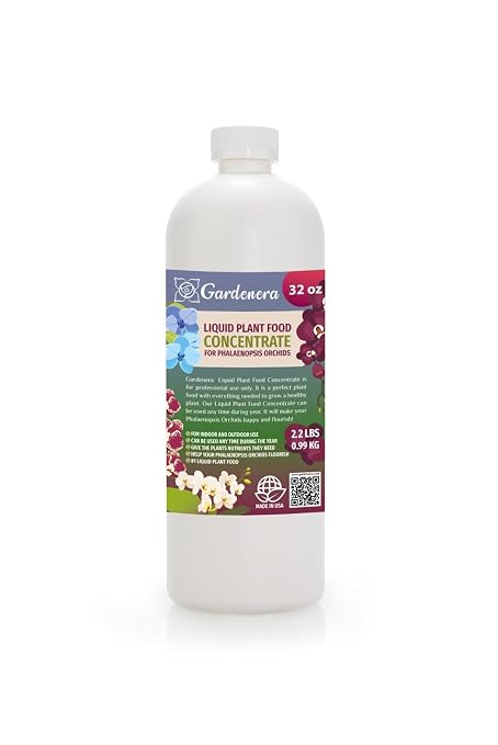 PHALAENOPSIS