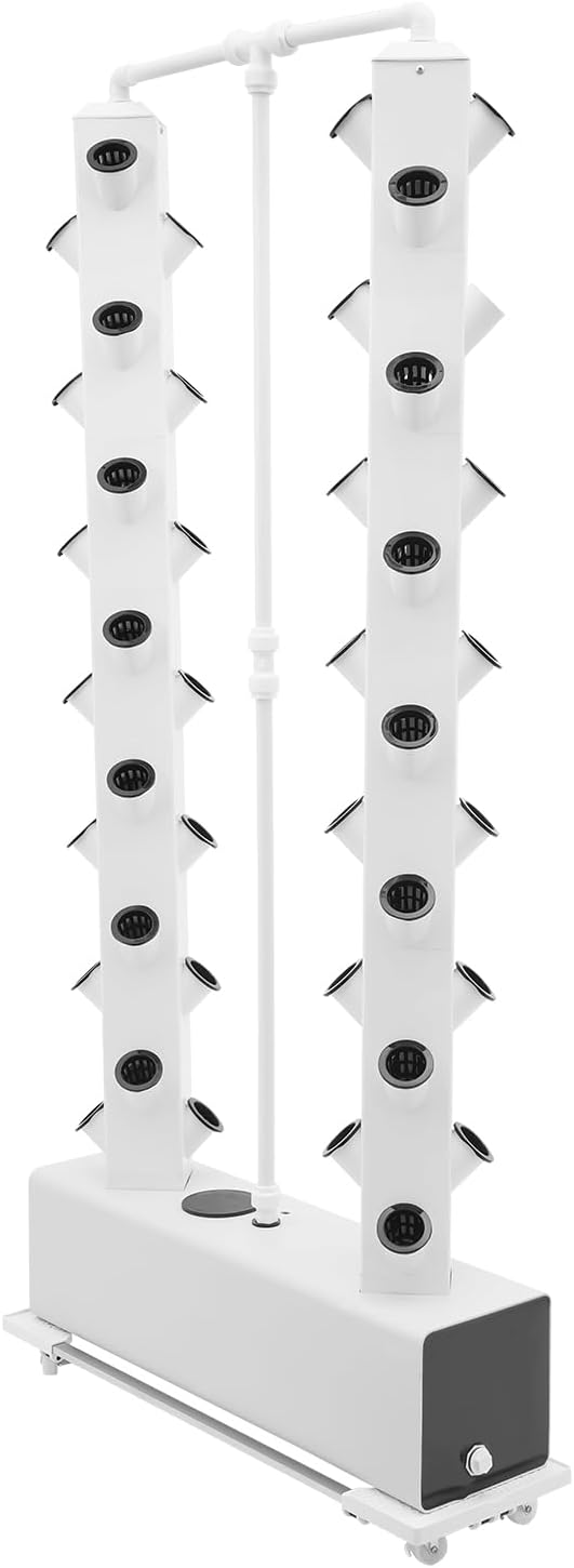 White, 56 Holes