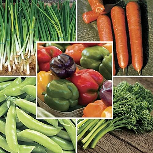 Stir Fry Vegetable