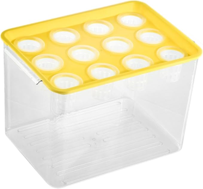 Yellow Lid