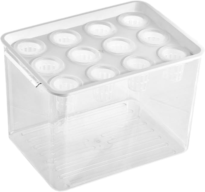 White Lid