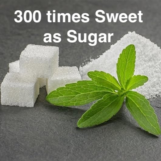 stevia