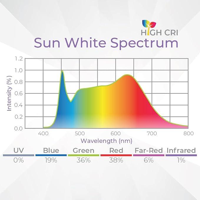 Sun White Spectrum