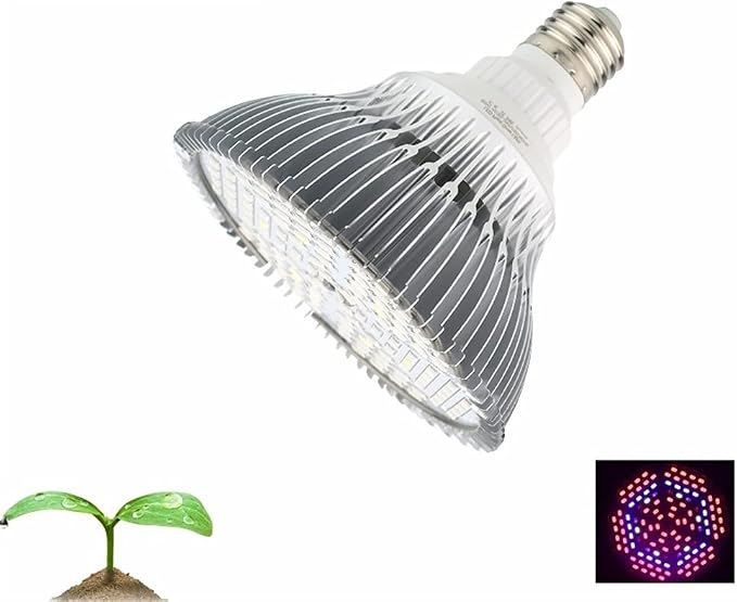 30w