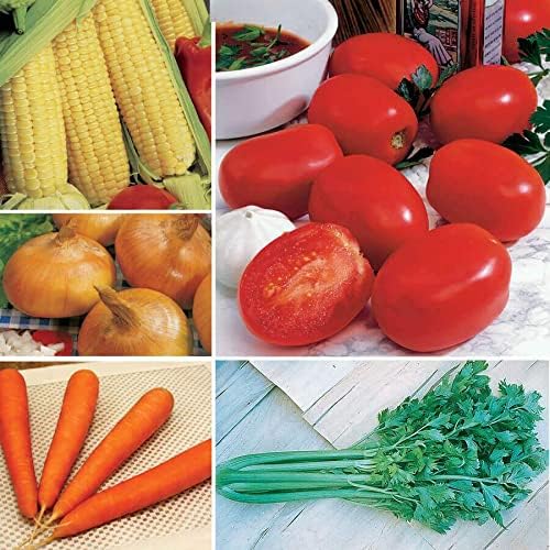Ultimate Vegetable Soup