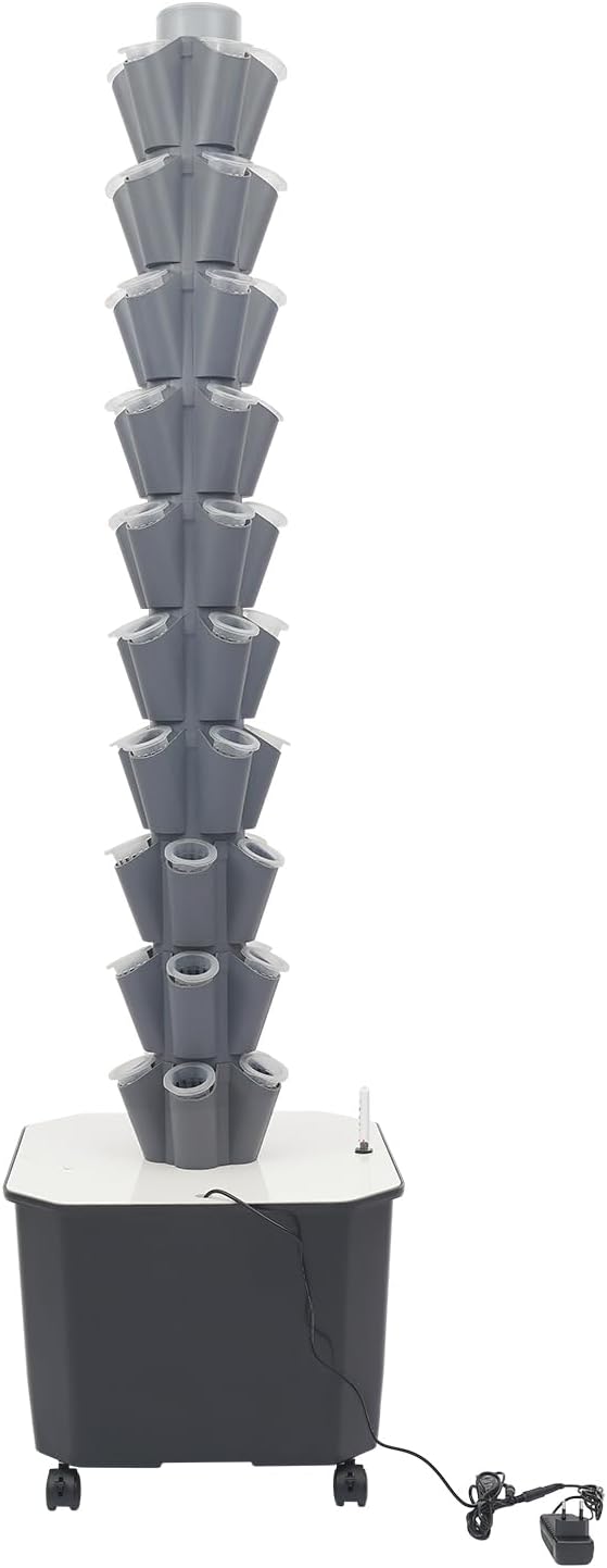 50-plant, Gray