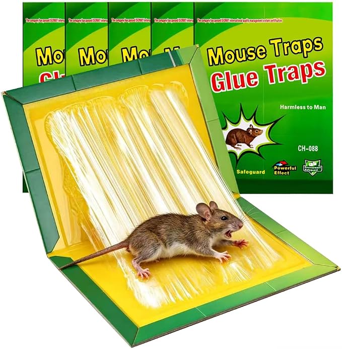 5 Pack