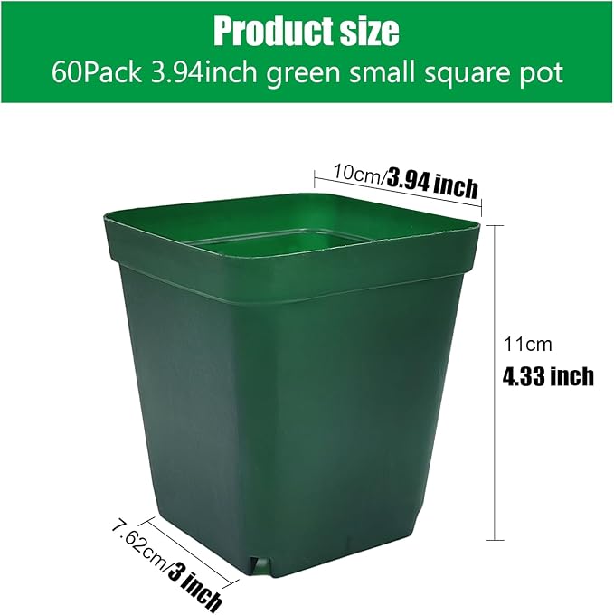 Green-60p