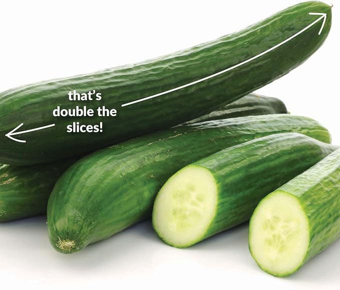 Cucumber The Big Dill Seed Multipack - 7 Pack