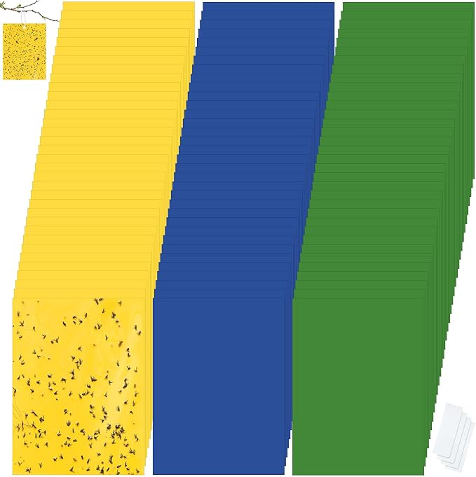 Yellow,Blue,Green