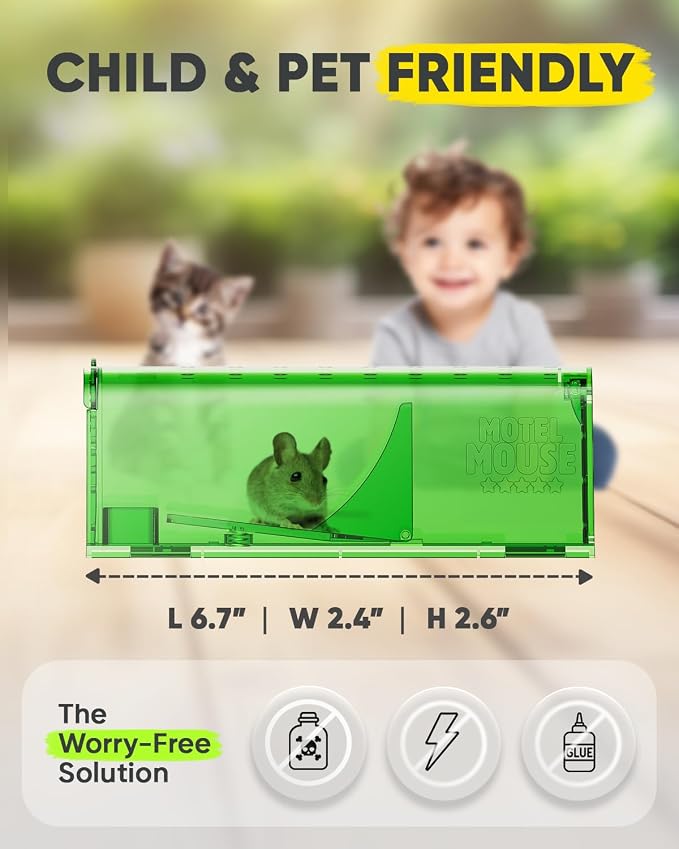 Regular Green