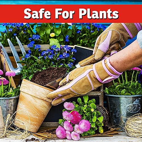 __DEFAULT__
