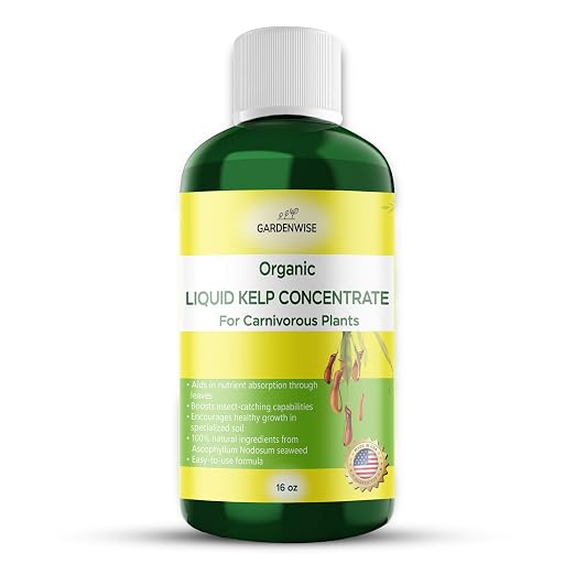 Carnivorous Plant Seaweed Food