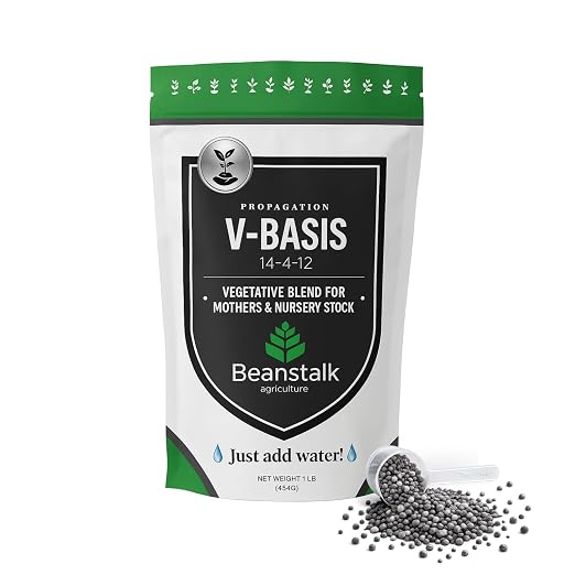 V-Basis