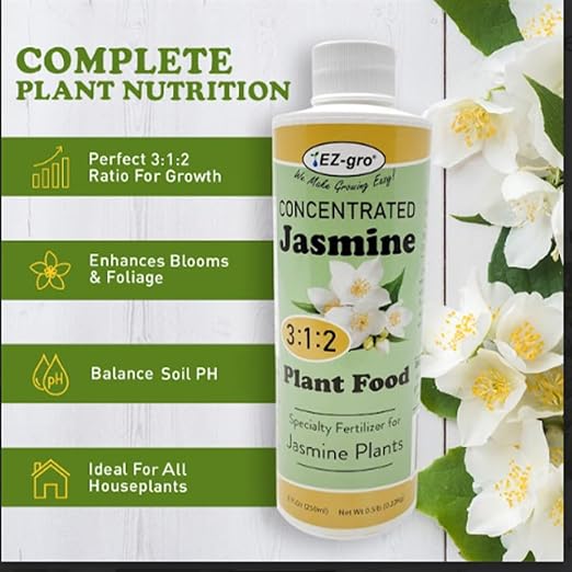 Jasmine
