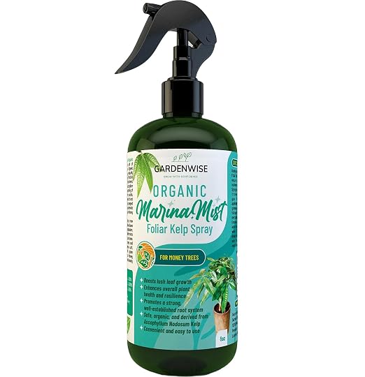 Marina Mist Money Tree Spray