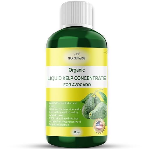 Avocado Tree Kelp Fertilizer