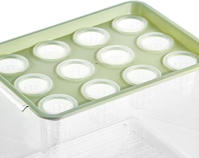 Green Lid