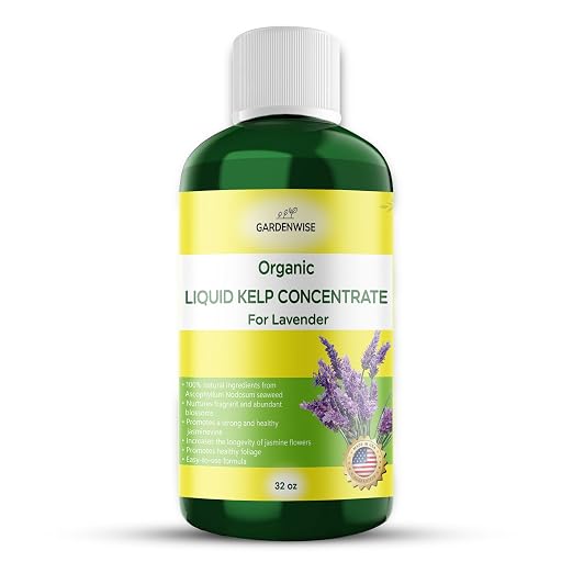 Lavender Kelp Plant Food