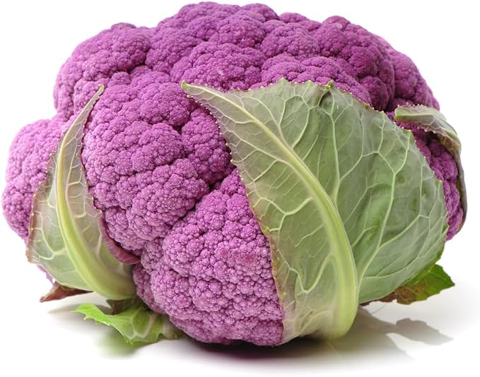 Purple Cauliflower