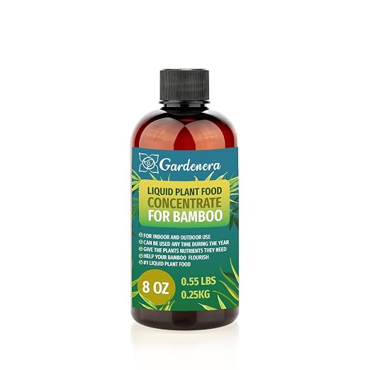 BAMBOO