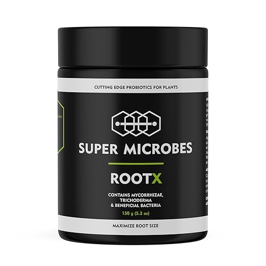 ROOT X