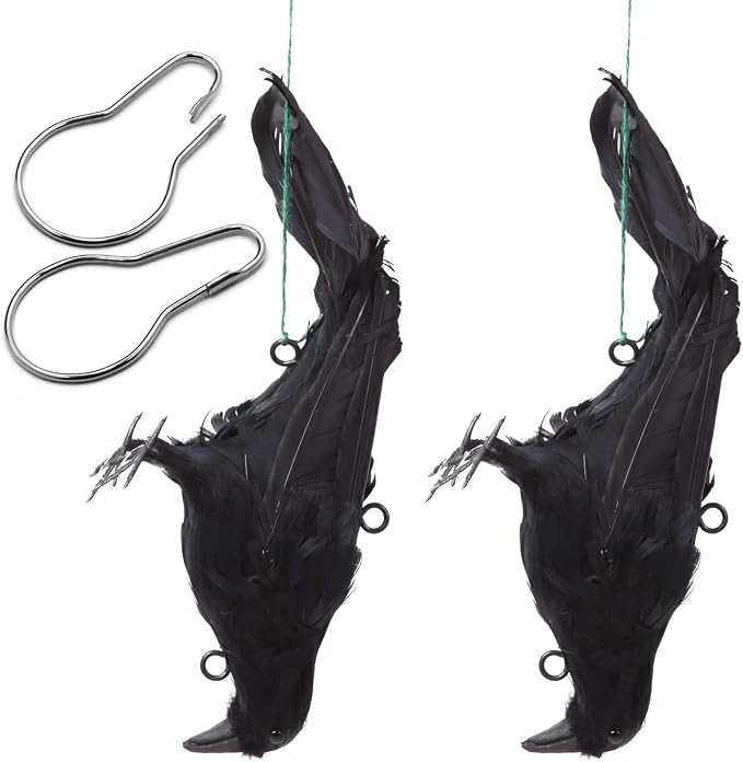 2 Pack