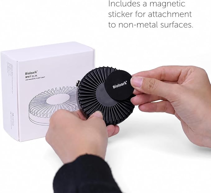 Magnetic light