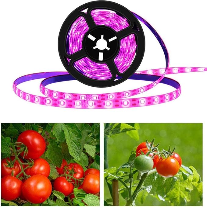 Waterproof (A) 5m light strip