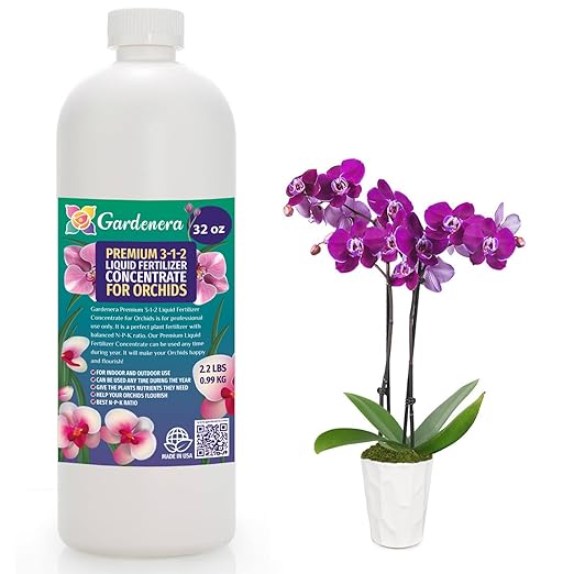 ORCHIDS