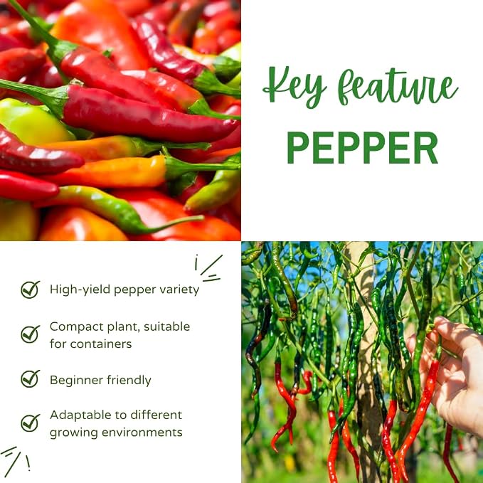 Long Thin Hot Red Peppers