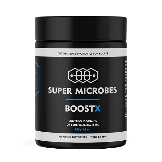 BOOST X