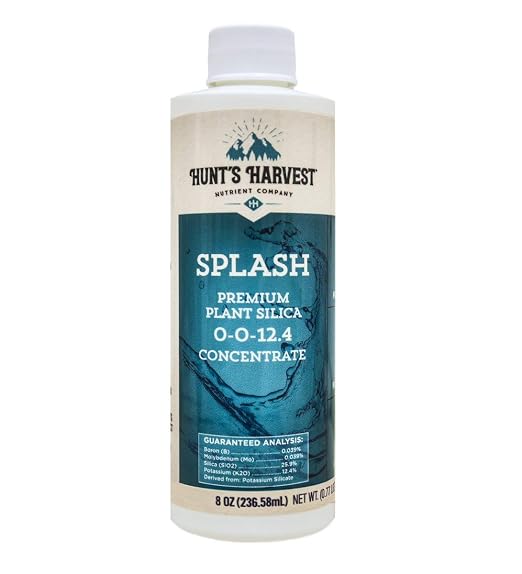 Splash
