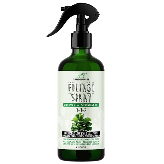 Fiddle Leaf Fig Spray 3-1-2