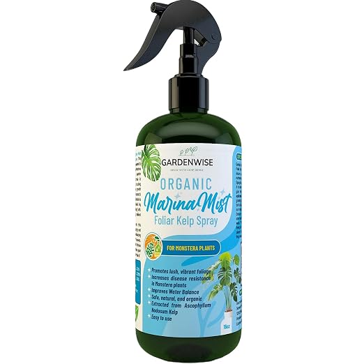 Marina Mist Monstera Spray
