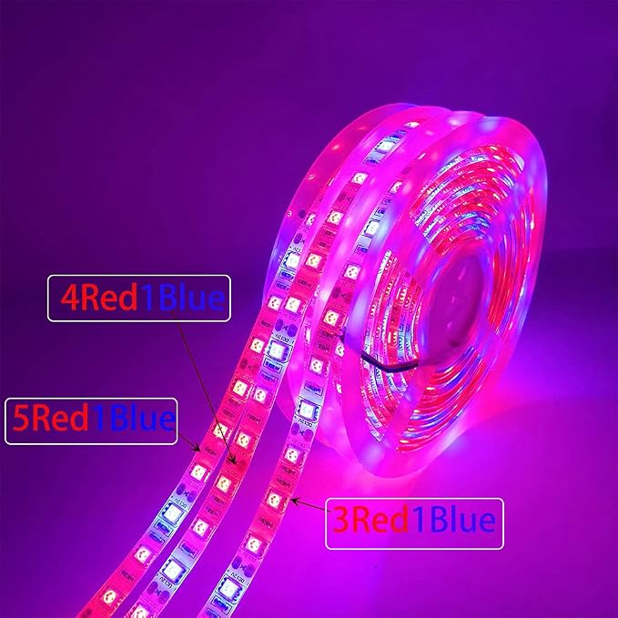 Red:blue=4:1 5m Set