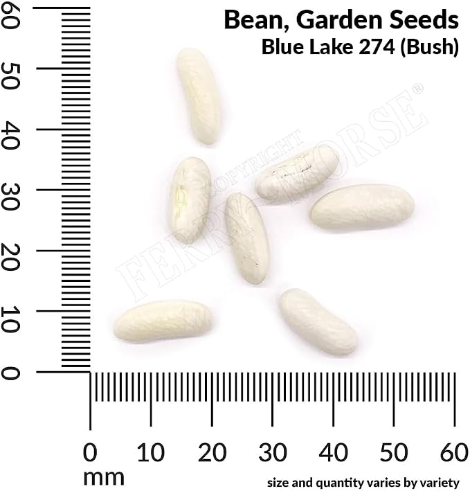 Bean Blue Lake Bush 274 Organic Seed Bundle - 8 Pack