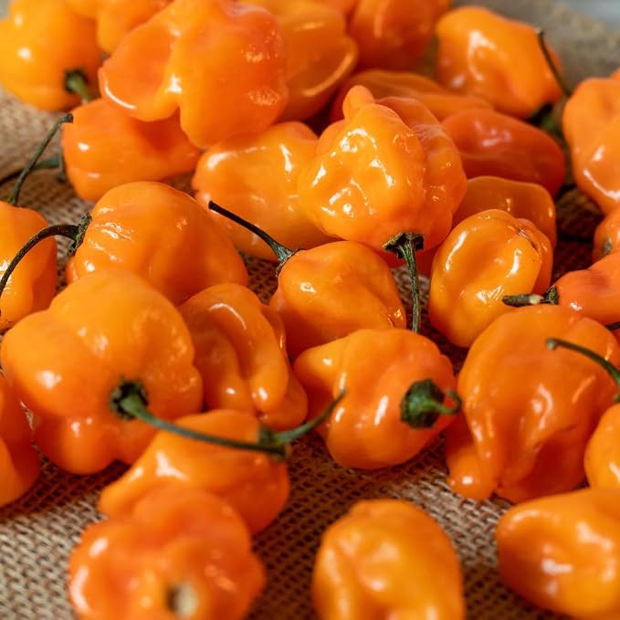 Hot Orange Peppers