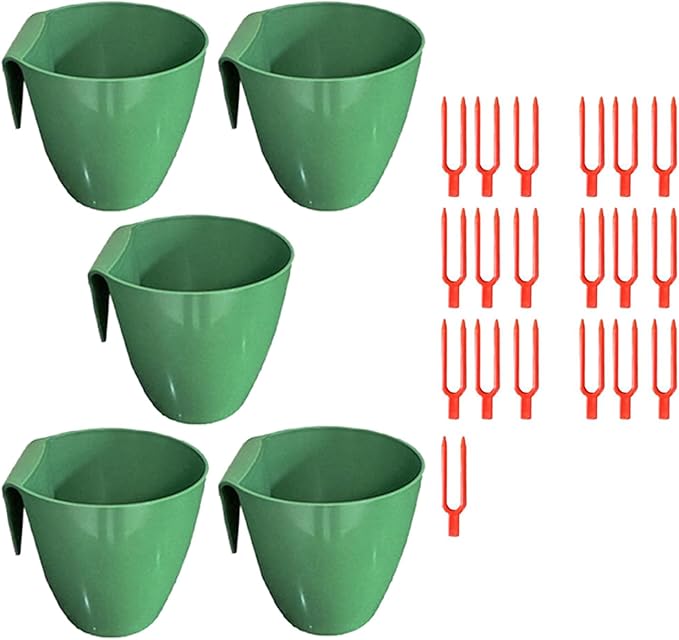 2-type