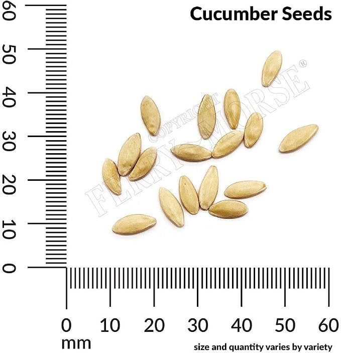 Cucumber The Big Dill Seed Multipack - 7 Pack