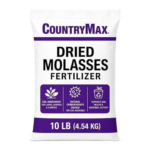 Dried Molasses