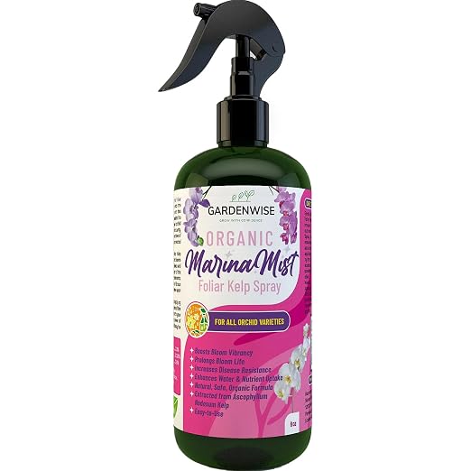 Marina Mist Orchid Spray